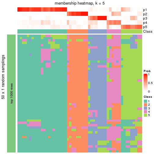 plot of chunk tab-node-021-membership-heatmap-4