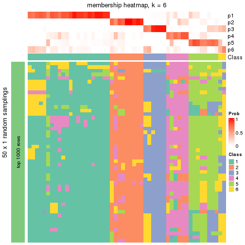 plot of chunk tab-node-021-membership-heatmap-5