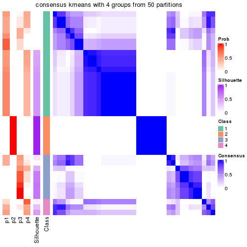 plot of chunk tab-node-0211-consensus-heatmap-3