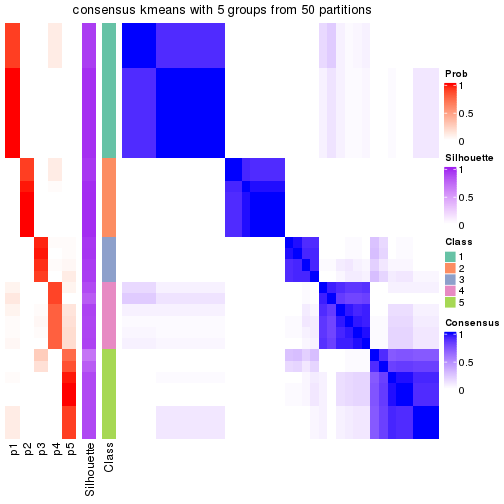 plot of chunk tab-node-0211-consensus-heatmap-4