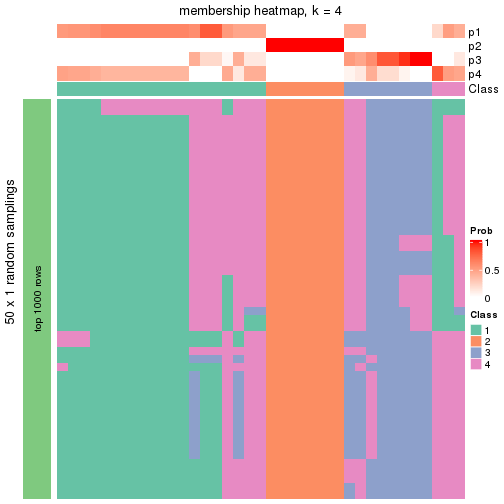 plot of chunk tab-node-0211-membership-heatmap-3