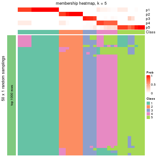 plot of chunk tab-node-0211-membership-heatmap-4