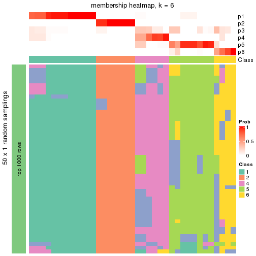 plot of chunk tab-node-0211-membership-heatmap-5