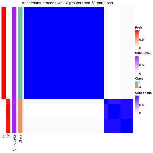 plot of chunk tab-node-02111-consensus-heatmap-1