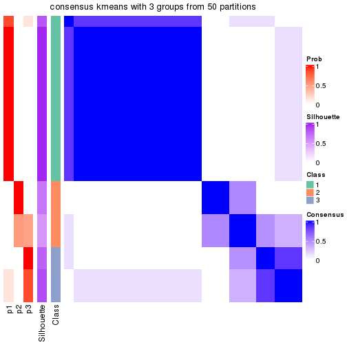 plot of chunk tab-node-02111-consensus-heatmap-2