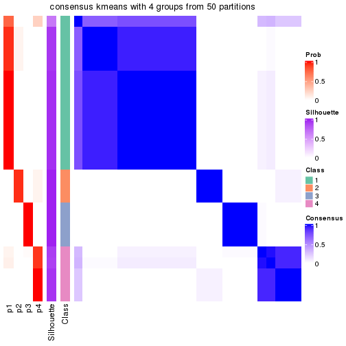 plot of chunk tab-node-02111-consensus-heatmap-3