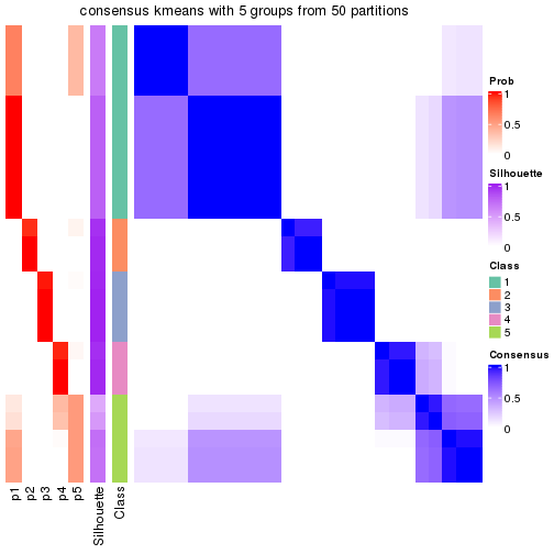 plot of chunk tab-node-02111-consensus-heatmap-4