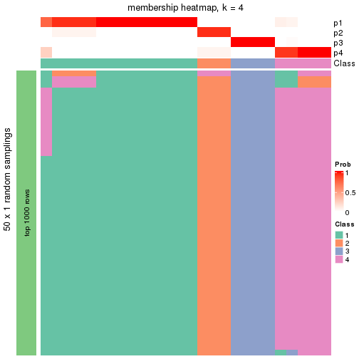 plot of chunk tab-node-02111-membership-heatmap-3