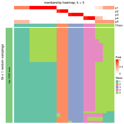 plot of chunk tab-node-02111-membership-heatmap-4