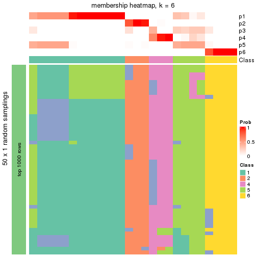 plot of chunk tab-node-02111-membership-heatmap-5