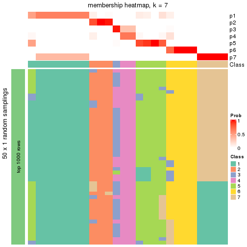 plot of chunk tab-node-02111-membership-heatmap-6