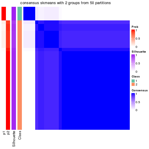 plot of chunk tab-node-022-consensus-heatmap-1