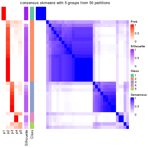 plot of chunk tab-node-022-consensus-heatmap-4