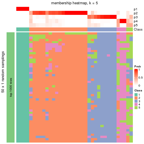 plot of chunk tab-node-022-membership-heatmap-4