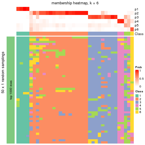 plot of chunk tab-node-022-membership-heatmap-5