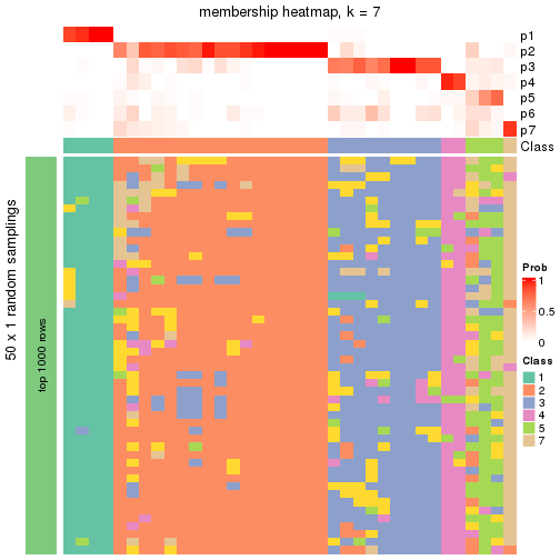 plot of chunk tab-node-022-membership-heatmap-6