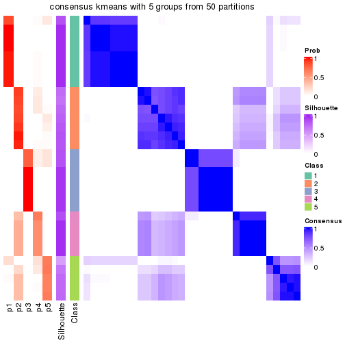 plot of chunk tab-node-0222-consensus-heatmap-4