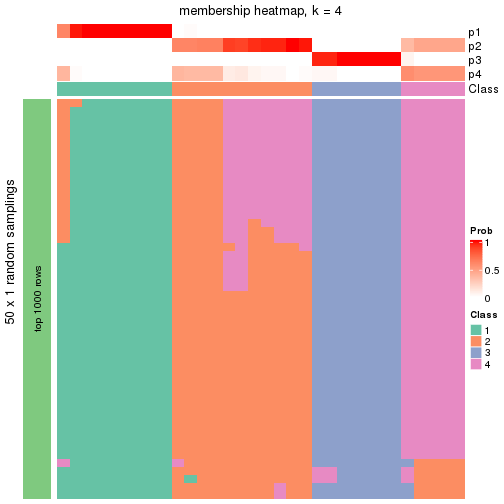 plot of chunk tab-node-0222-membership-heatmap-3