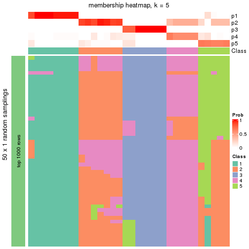 plot of chunk tab-node-0222-membership-heatmap-4