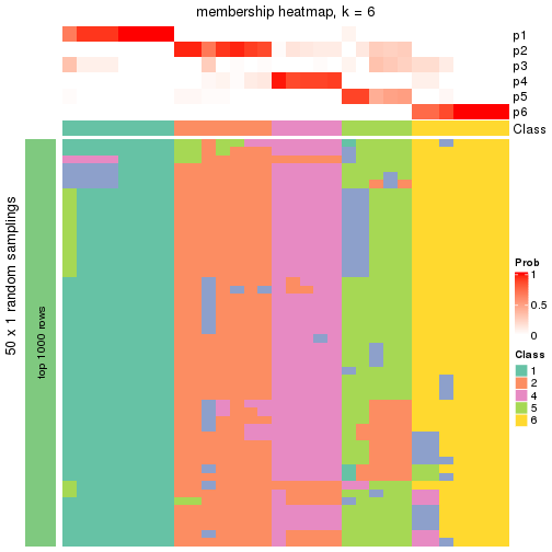 plot of chunk tab-node-0222-membership-heatmap-5