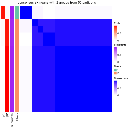 plot of chunk tab-node-02221-consensus-heatmap-1