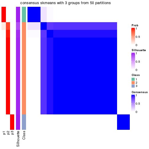 plot of chunk tab-node-02221-consensus-heatmap-2