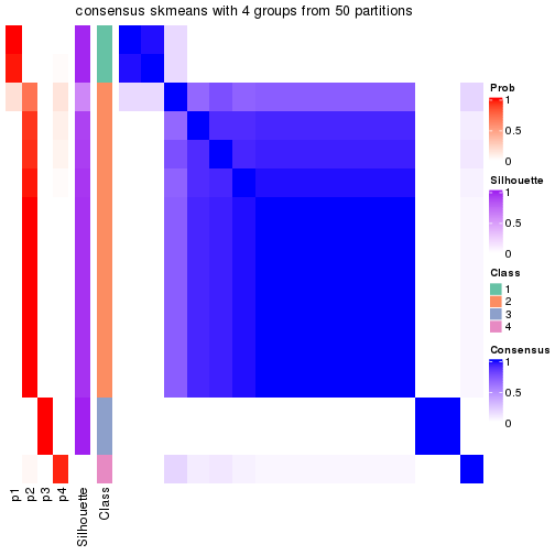 plot of chunk tab-node-02221-consensus-heatmap-3