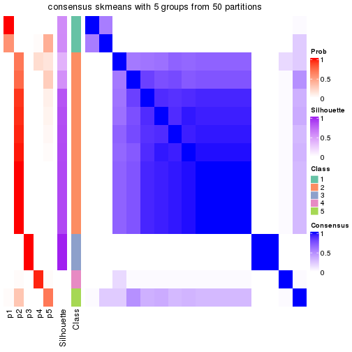 plot of chunk tab-node-02221-consensus-heatmap-4