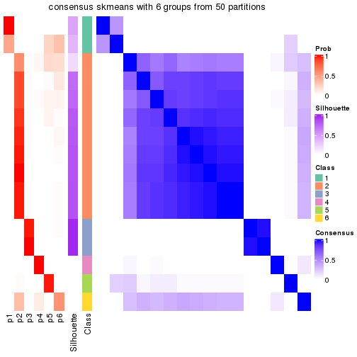 plot of chunk tab-node-02221-consensus-heatmap-5