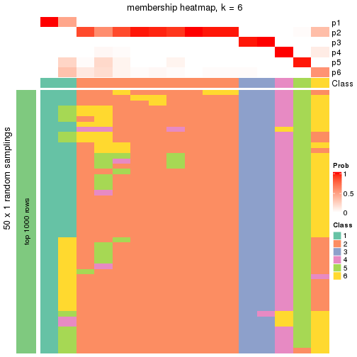 plot of chunk tab-node-02221-membership-heatmap-5