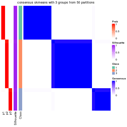 plot of chunk tab-node-023-consensus-heatmap-2