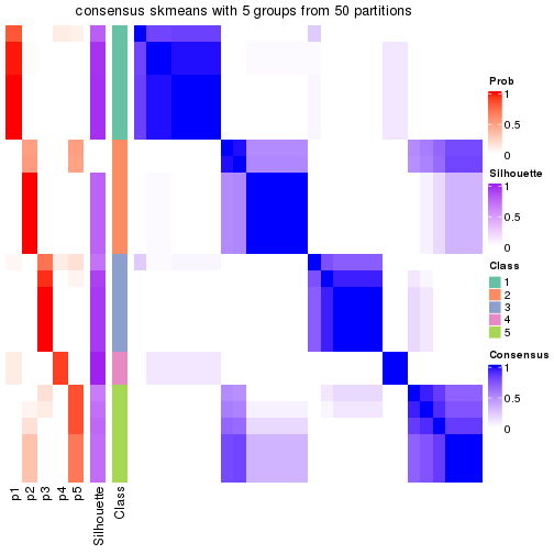 plot of chunk tab-node-023-consensus-heatmap-4