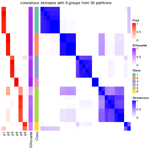 plot of chunk tab-node-023-consensus-heatmap-5