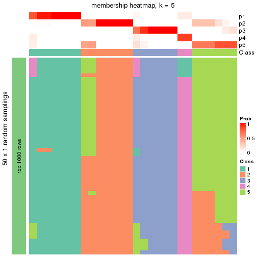 plot of chunk tab-node-023-membership-heatmap-4