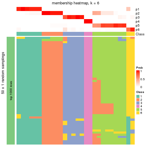 plot of chunk tab-node-023-membership-heatmap-5