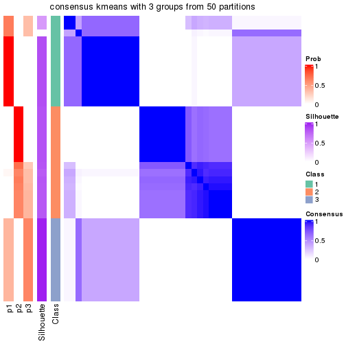 plot of chunk tab-node-03-consensus-heatmap-2