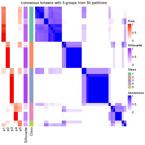 plot of chunk tab-node-03-consensus-heatmap-4