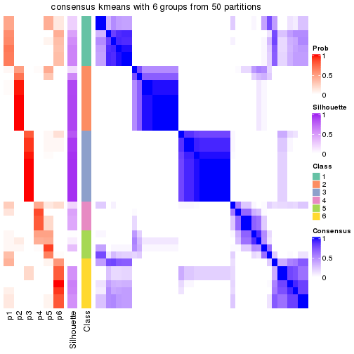 plot of chunk tab-node-03-consensus-heatmap-5