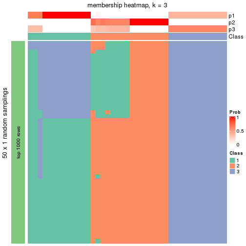 plot of chunk tab-node-03-membership-heatmap-2