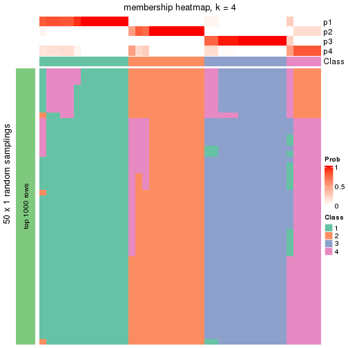 plot of chunk tab-node-03-membership-heatmap-3