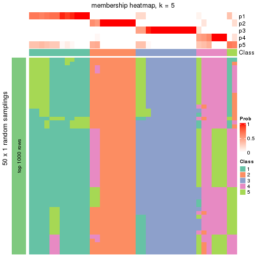 plot of chunk tab-node-03-membership-heatmap-4