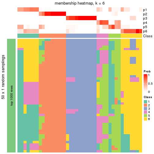 plot of chunk tab-node-03-membership-heatmap-5