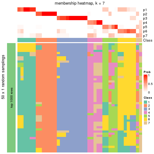 plot of chunk tab-node-03-membership-heatmap-6