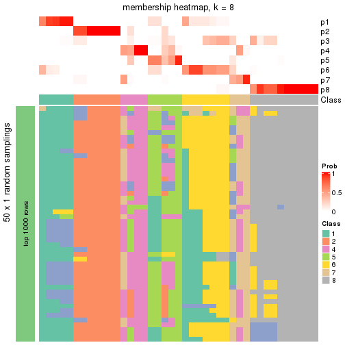 plot of chunk tab-node-03-membership-heatmap-7