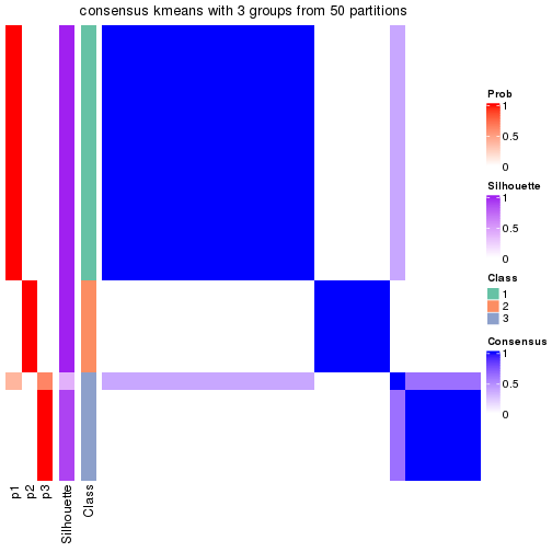 plot of chunk tab-node-031-consensus-heatmap-2