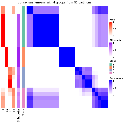 plot of chunk tab-node-031-consensus-heatmap-3