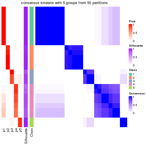 plot of chunk tab-node-031-consensus-heatmap-4