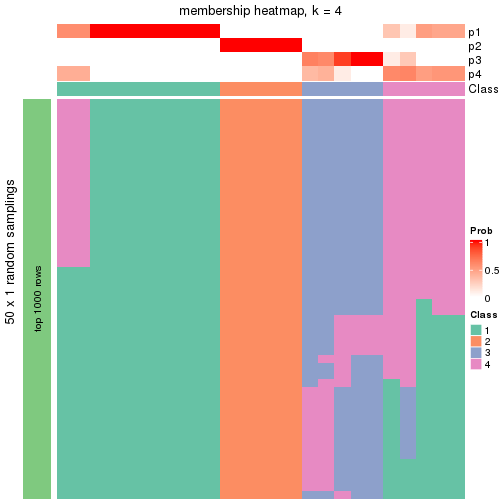 plot of chunk tab-node-031-membership-heatmap-3