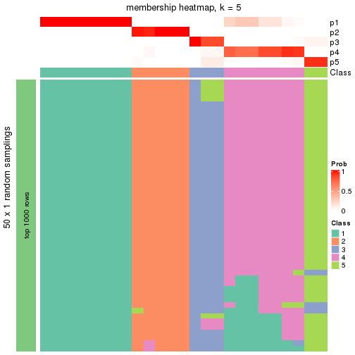 plot of chunk tab-node-031-membership-heatmap-4