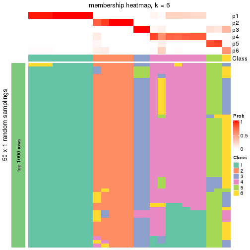 plot of chunk tab-node-031-membership-heatmap-5